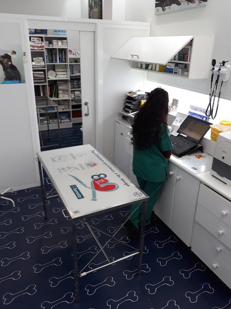 Veterinario De Poio photo 2