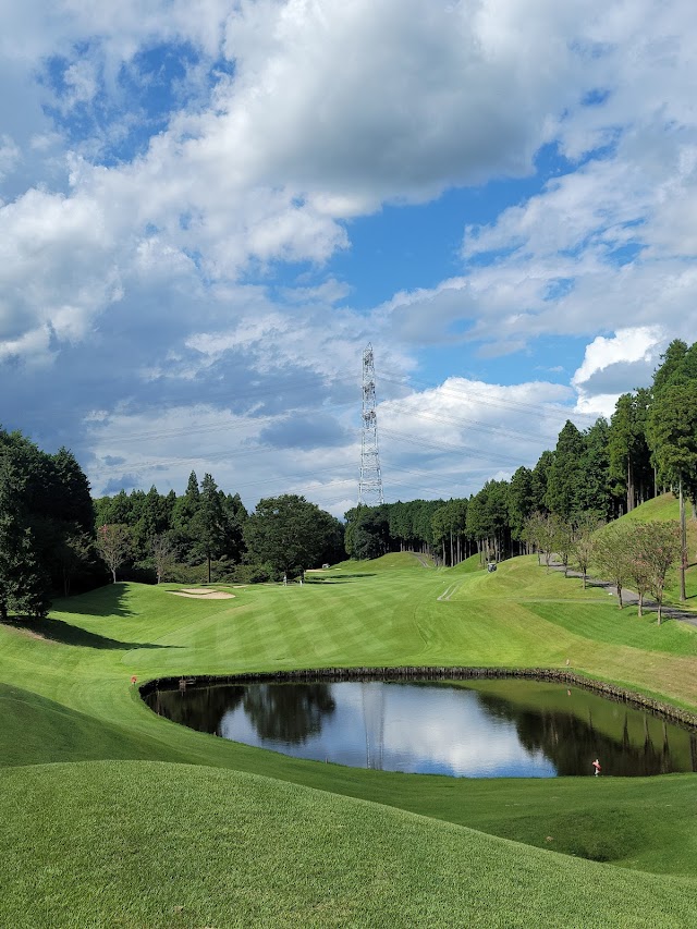 Sun Hills Country Club - Photo 6