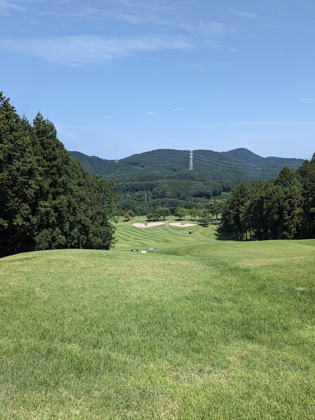 Sun Hills Country Club - Photo 5