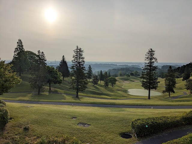 Sun Hills Country Club - Photo 2