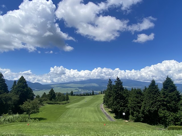 Bellevue Nagao Golf Club - Photo 4
