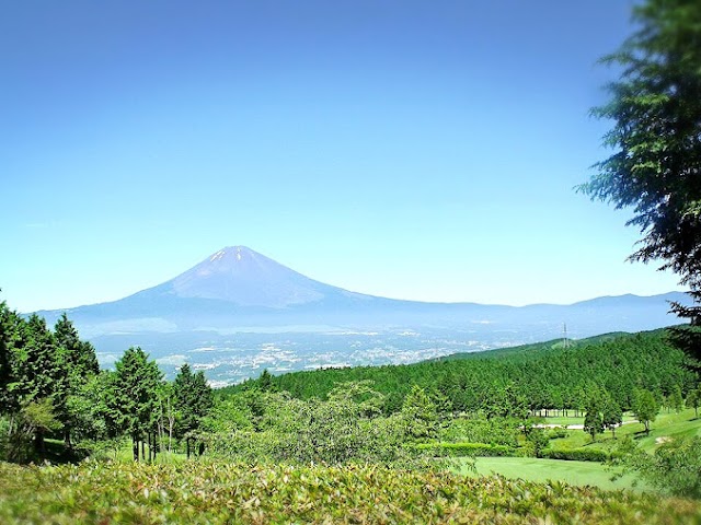 Bellevue Nagao Golf Club - Photo 1