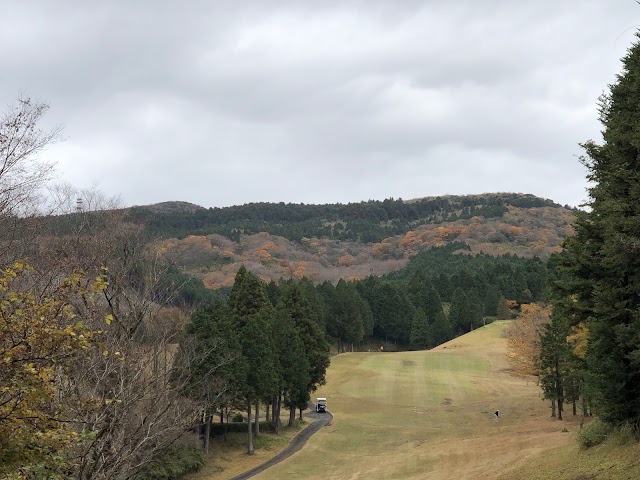 Bellevue Nagao Golf Club - Photo 8
