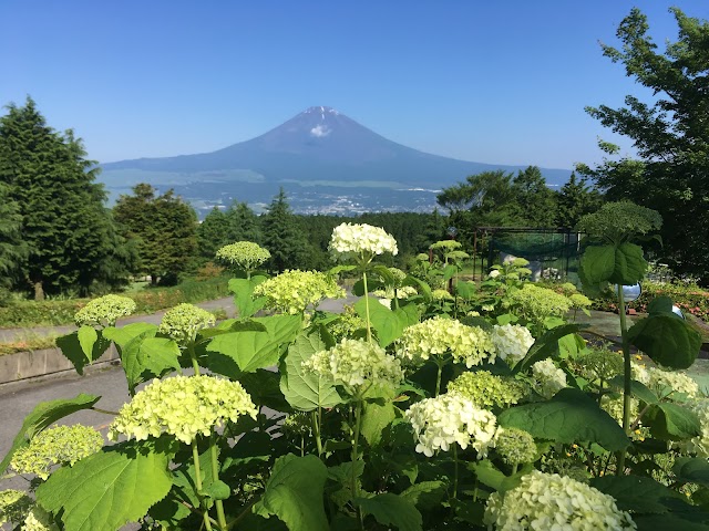 Bellevue Nagao Golf Club - Photo 10