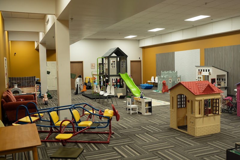 Mini Mushrooms photo 4