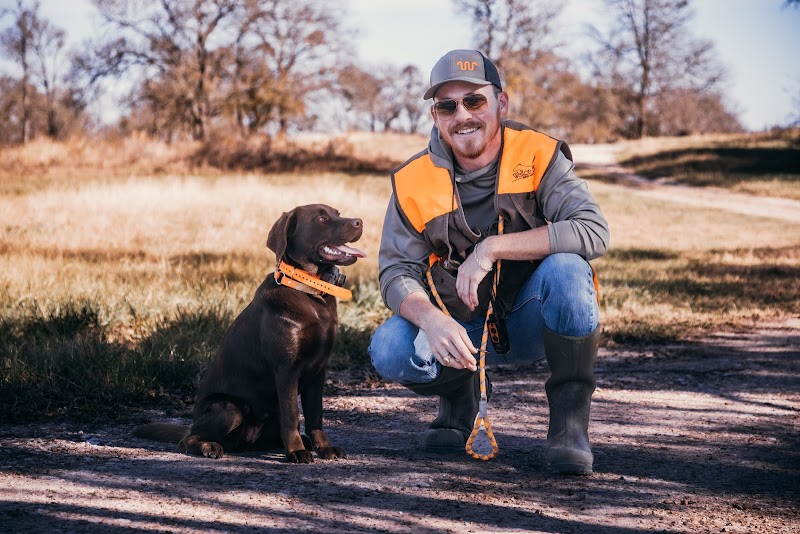Walton Ranch Bird Hunting - Photo 3