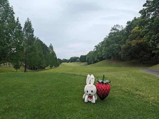 Mashiko Hills Golf Club - Photo 4