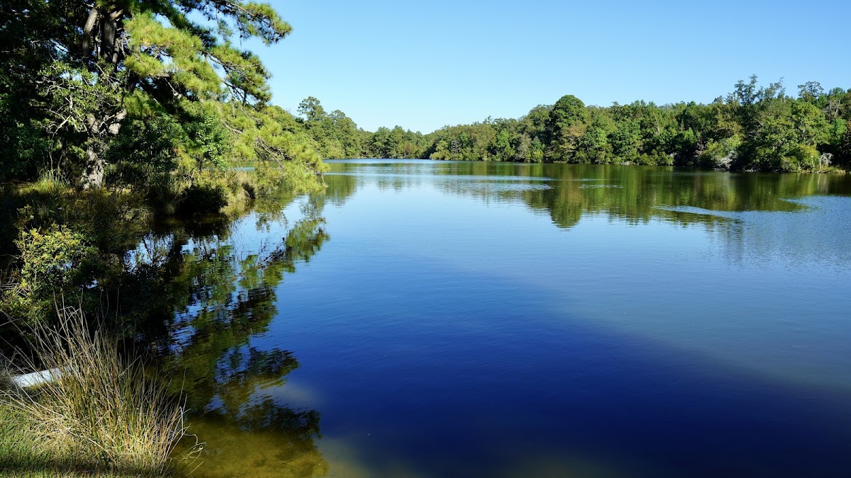 The Reserve at Lakeside Farms