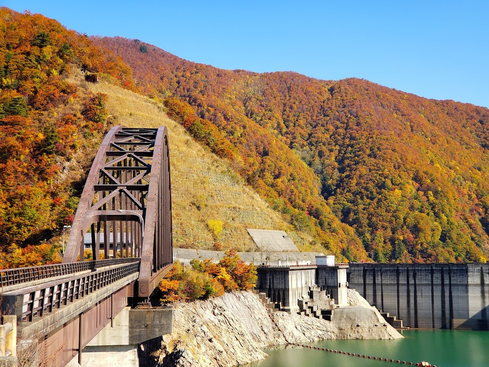 桂湖オートキャンプ場