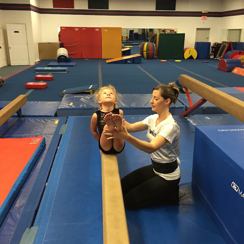 Kennett School of Gymnastics photo 3