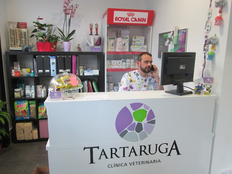 Tartaruga photo 3