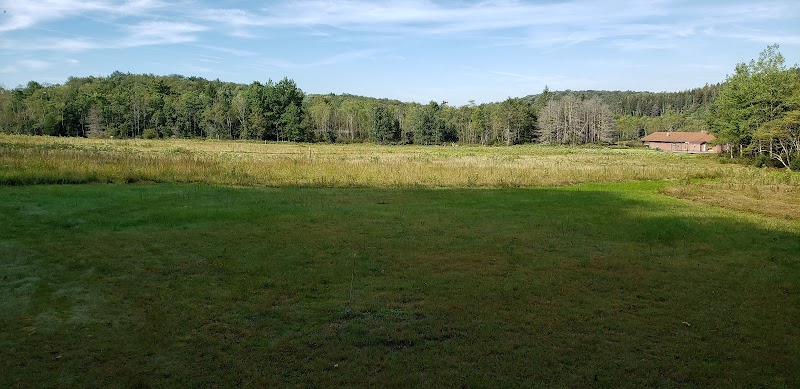 Blackwater Falls Disc Golf Course photo 4