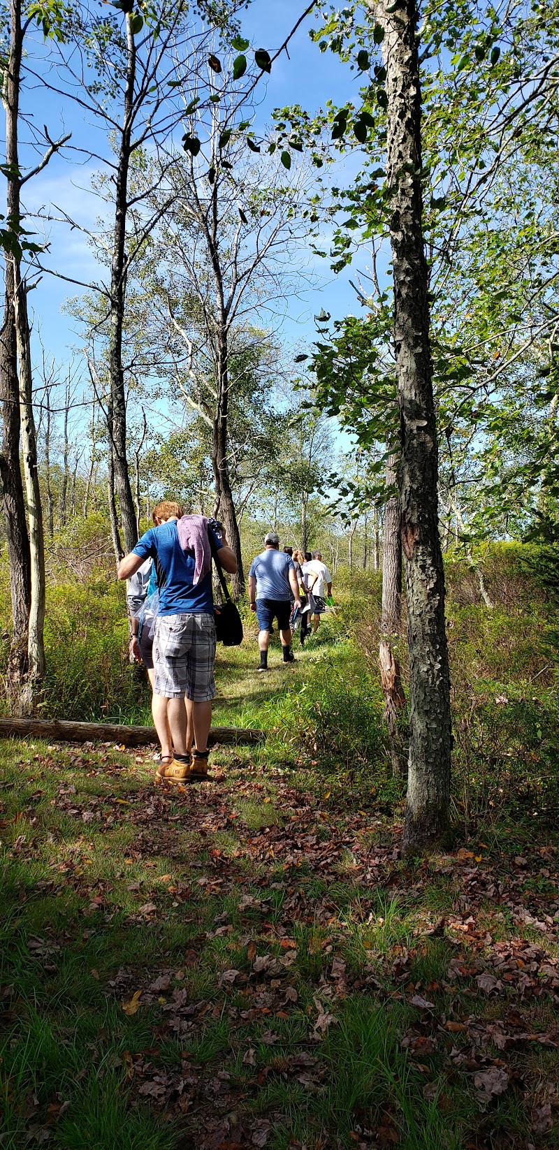Blackwater Falls Disc Golf Course photo 3