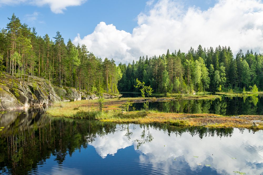 Nuuksio National Park fotoğraf 1