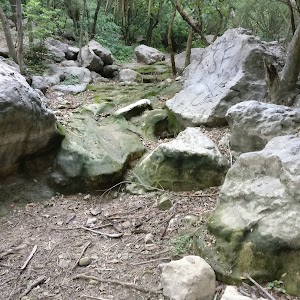 Margalla Hills National Park