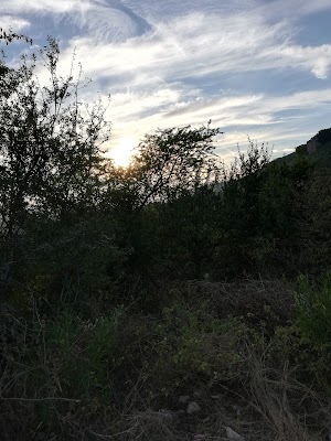 Margalla Hills National Park