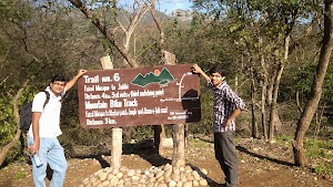 Margalla Hills National Park