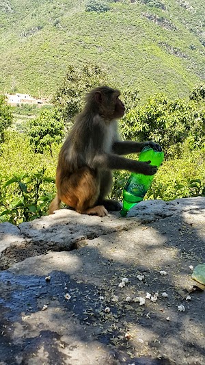 Margalla Hills National Park