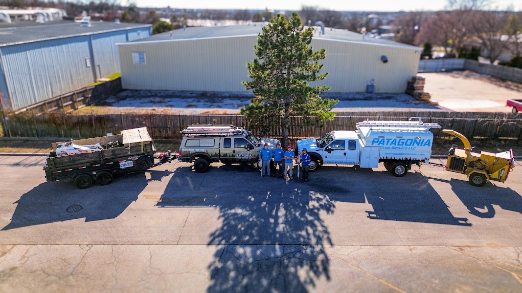 Patagonia Tree Service LLC