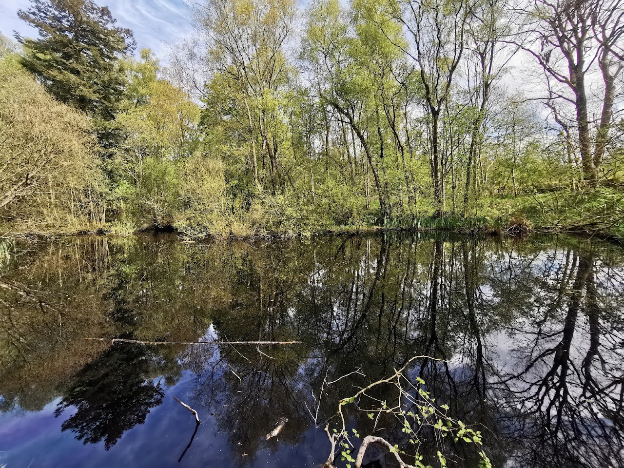 Peatlands Park