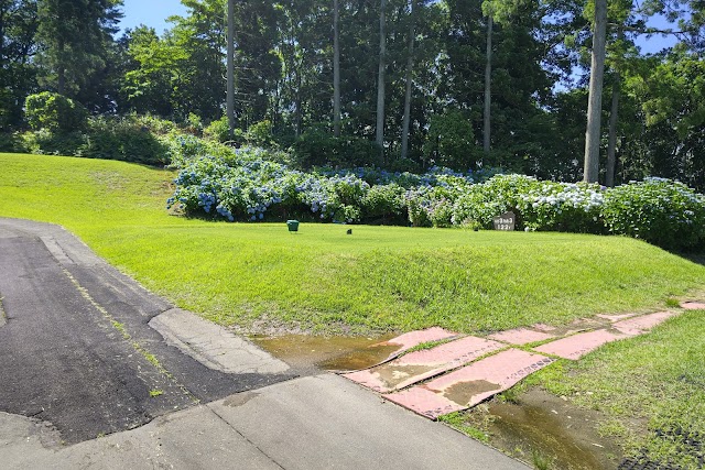 Minami Akita Country Club - Photo 10