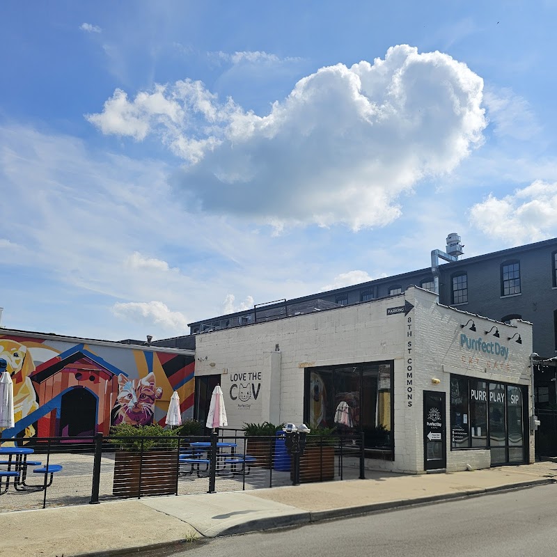 Purrfect Day Cat Café Covington