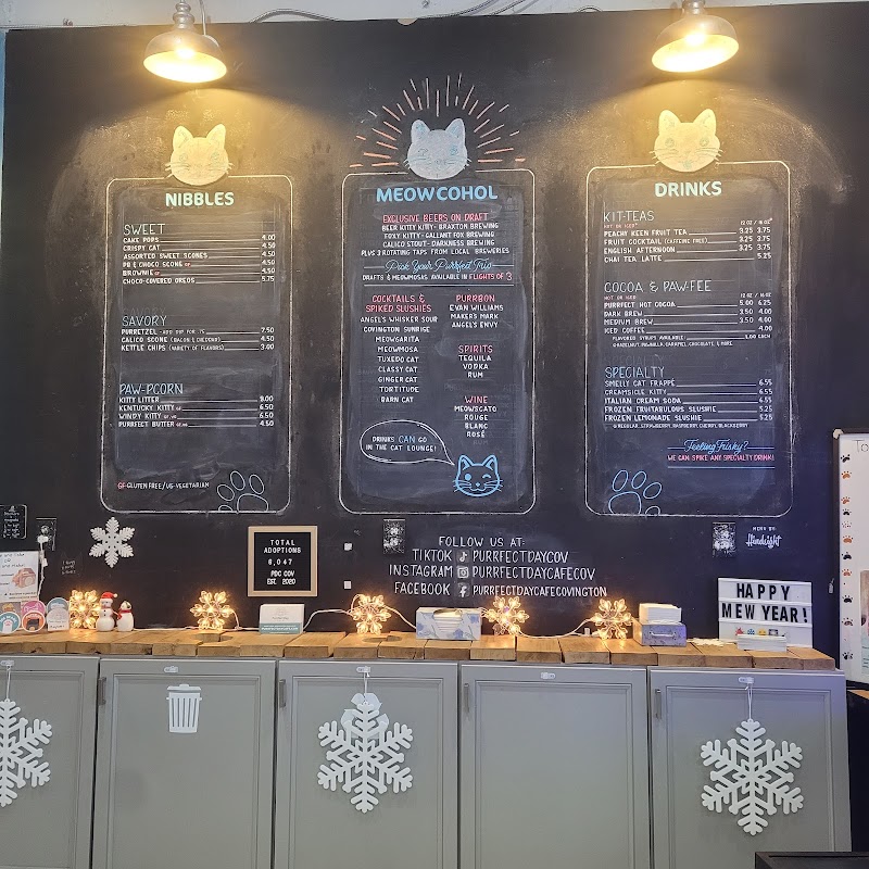 Purrfect Day Cat Café photo 3