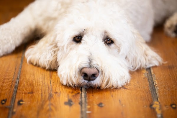 Hair at Jo Sym-Choon's photo 3