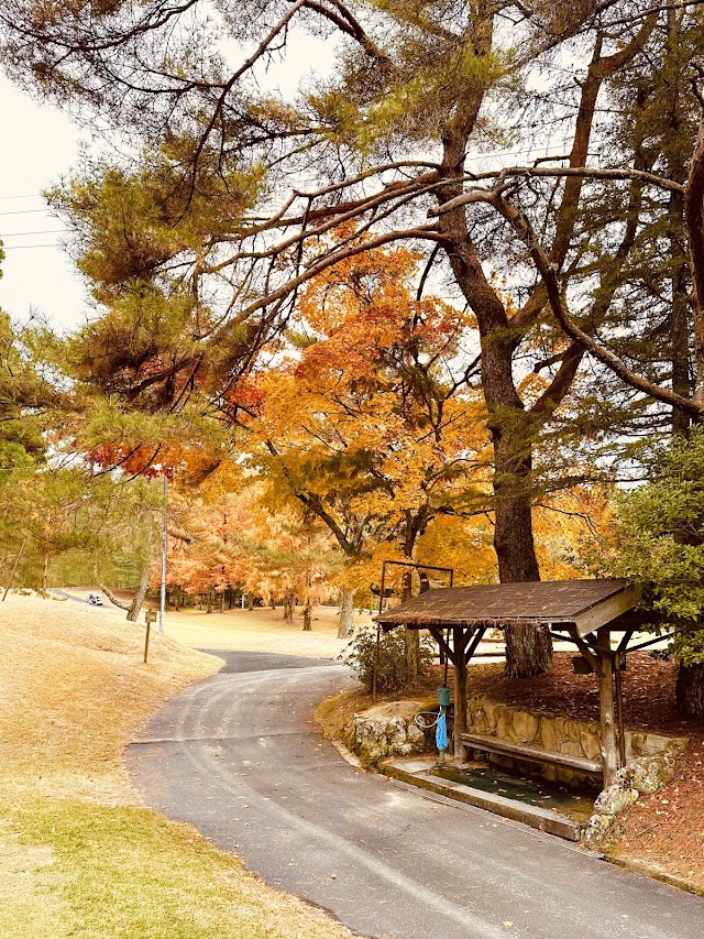 Geinan Country Club - Photo 9