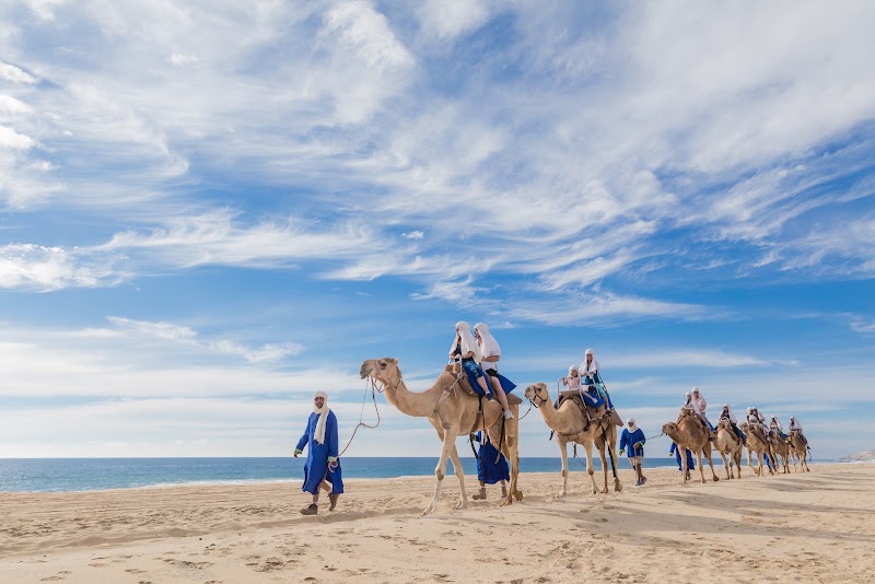 Cabo Adventures - Outdoor Adventure