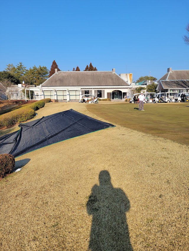 Pine Tree Golf Club - Photo 8