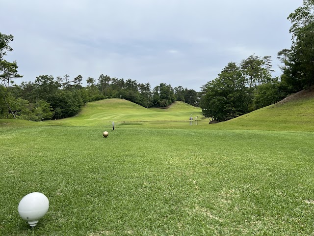 Pine Tree Golf Club - Photo 1