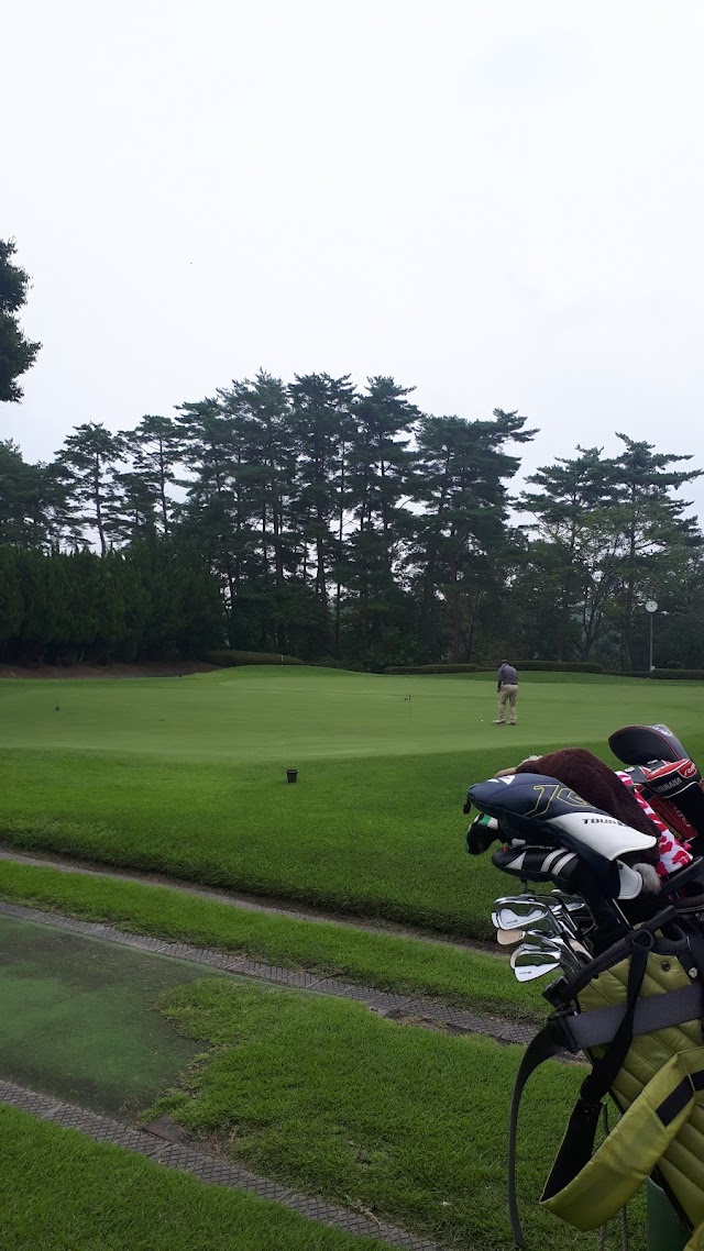 Pine Tree Golf Club - Photo 4
