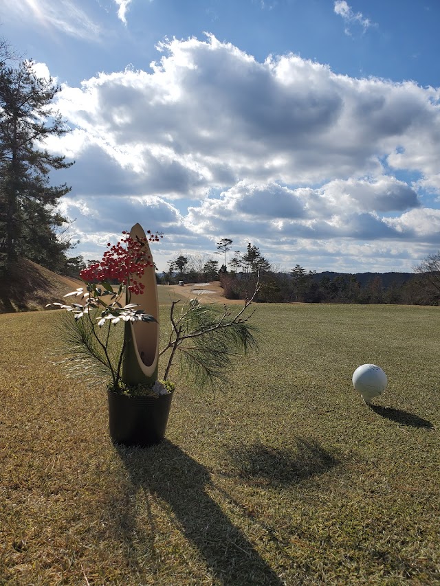 Pine Tree Golf Club - Photo 10