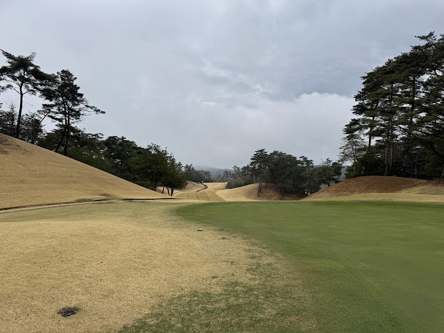 Pine Tree Golf Club - Photo 3