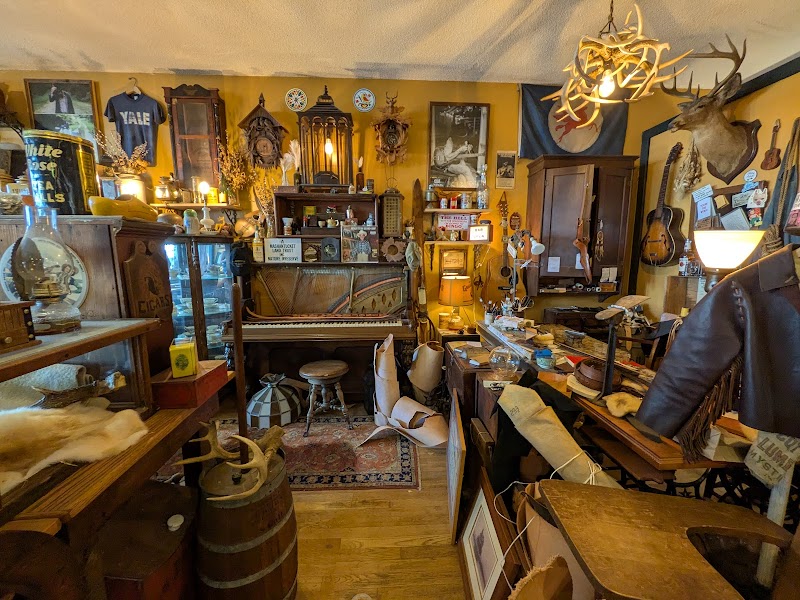 Lamplighter Trading Company photo 3