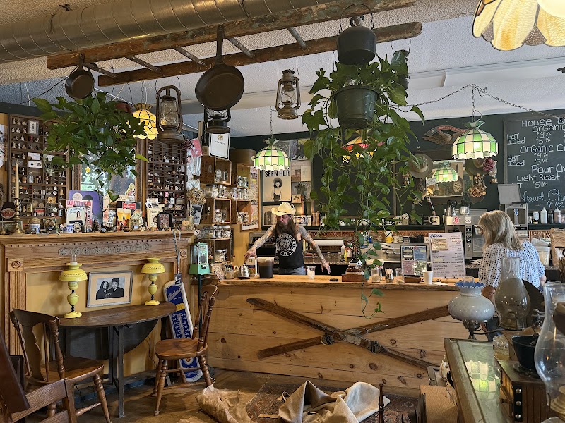 Lamplighter Trading Company photo 2