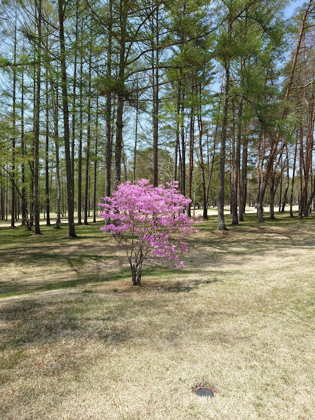 Nagano Country Club - Photo 9