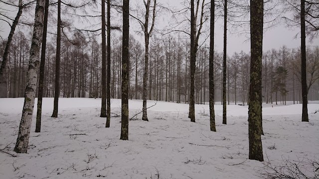 Nagano Country Club - Photo 5