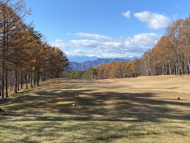 Nagano Country Club - Photo 3