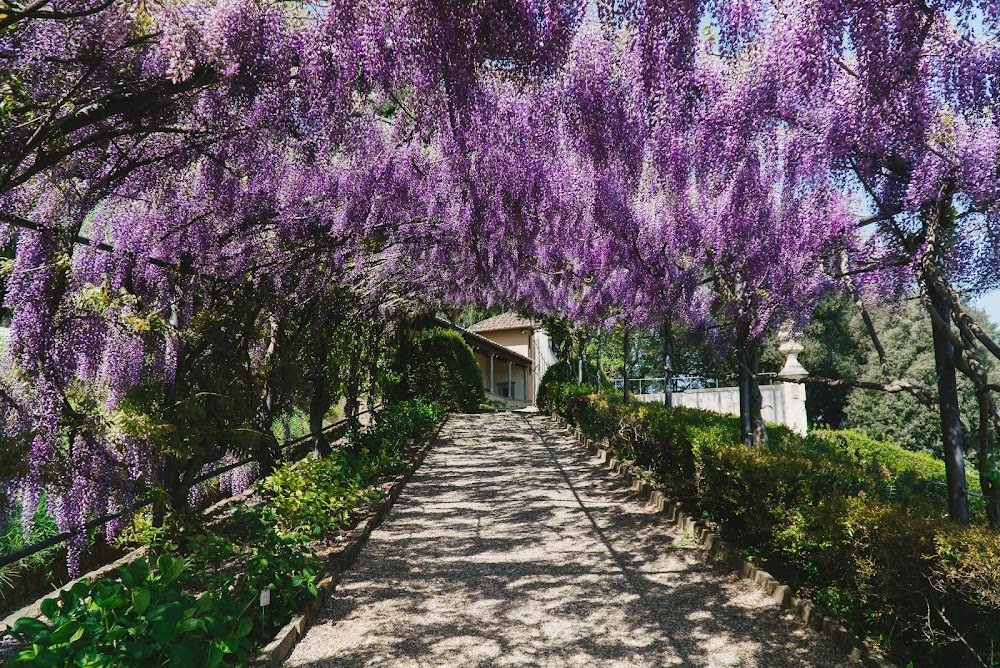 Villa Bardini fotoğraf 1