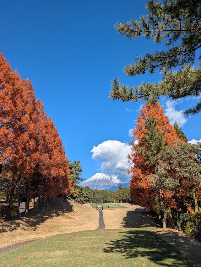 Daifuji Golf Club - Photo 10