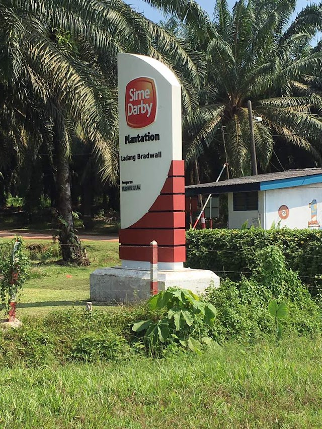 SJK(T) LDG BRADWALL photo 2