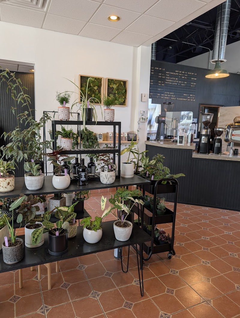 Botanist Coffeehouse photo 4