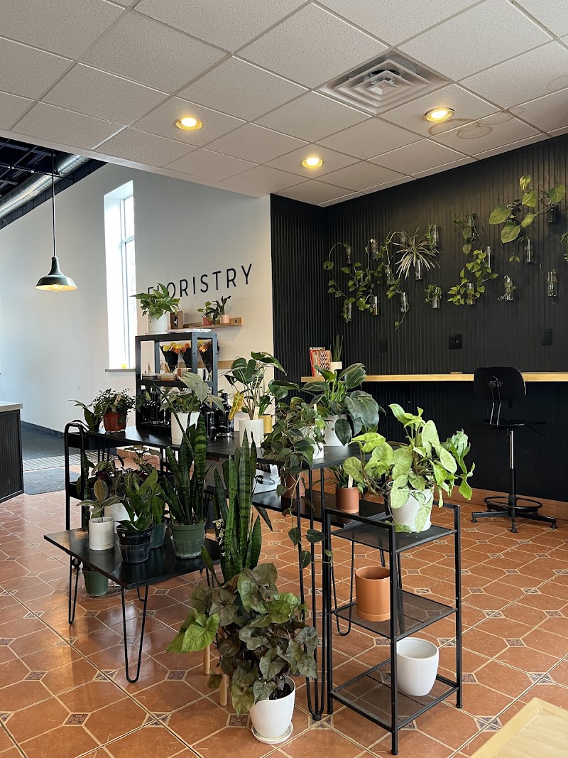 Botanist Coffeehouse photo 1
