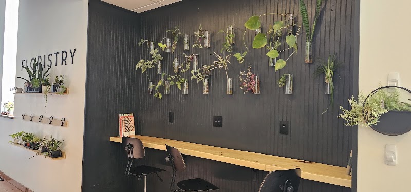 Botanist Coffeehouse photo 3