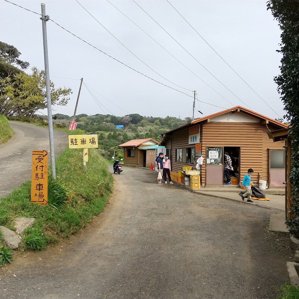 オレンジ村オートキャンプ場