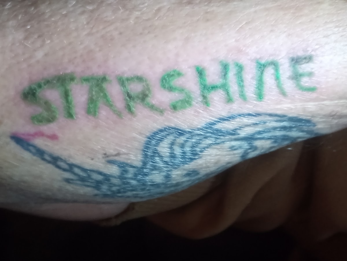 Robot Barbie Doll Tattoos tattoo work — photo 2