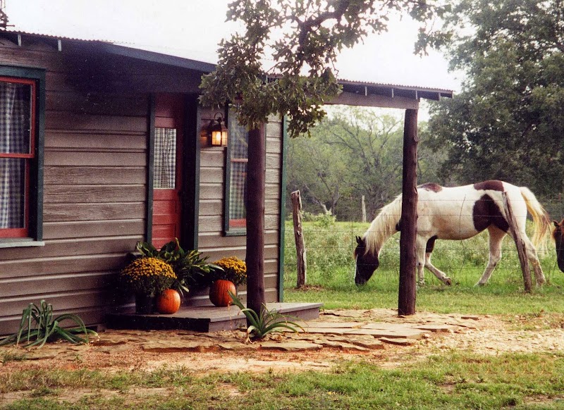 Texas Ranch Life - Photo 4