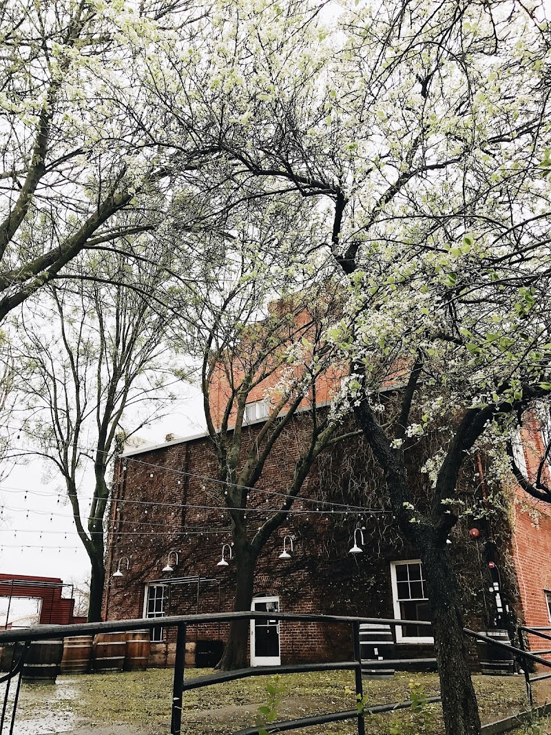 Morgan's Mill photo 3